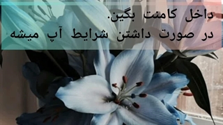 سریال درخواستیتون رو کامنت بگین در صورت داشتن شرایط آپ میشه
