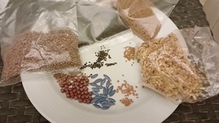 ویدیو نهایی آشنایی با بذر (نماشا)