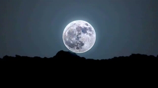 یکم میخوام برم و فاصله بگیرم از اینجا و تاو  ( کپ )
