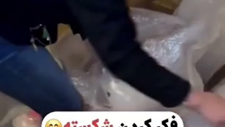 قوی نبات رفت کانادا