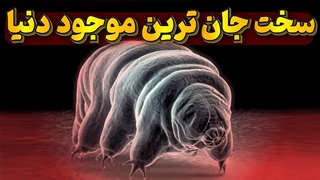 رکورد خرس آبی با پانصد میلیون سال زندگی روی زمین