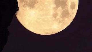 (Z) ببین برققق