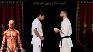 ده تا از بهترین ضربه های کیوکوشین کاراته