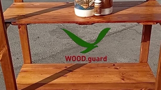 وودگارد WOOD.guard ؛ خشک شدن سریع رنگ چوب تنها در ۵ دقیقه