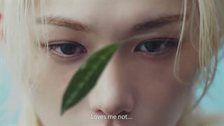 Gong cha | 우리가 사랑하는 공들인 맛