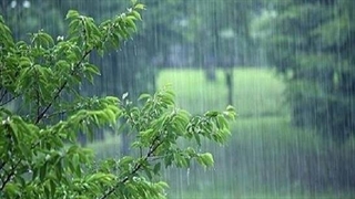 پیش بینی سازمان هواشناسی برای شمال غرب و شرق و سواحل دریای خزر