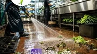4اشتباه مرگبار در تمیزکاری کارگاه‌های سبزی و مواد غذایی