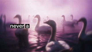 never ~
