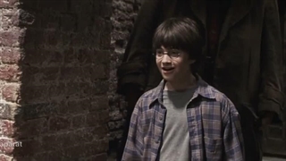 Harry.Potter2