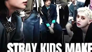 Stray kids