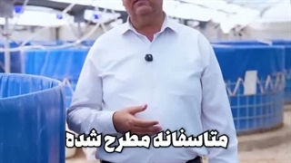 چگونه ماهی تیلاپیا پرورش دهیم