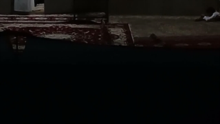 نه داداش ما اهل دراما و عروسی نیستیم: