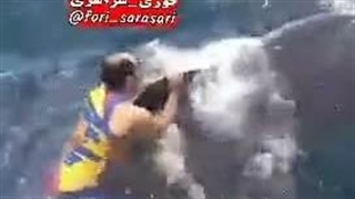 اینا از نهنگ های تنگه هم  سواری میگیرن اون وقت ترامپ احمق فکر میکنه تنگه رو اینا میدن بره؟