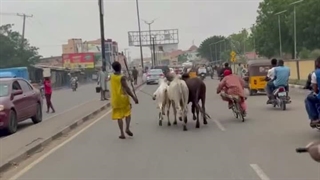 عجله