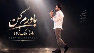 رضا ملک_زاده - باورم کن