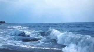 بخاطر اینکه نامی رو امروز مثل سگ کتک زدم عذاب وجدان دارم کمک-