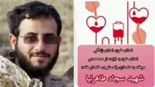مداحی پرشور بقیه السیف با صدای حاج محمود کریمی