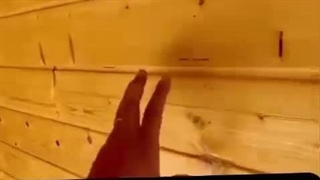کلبه سازان مهدوی در فومن