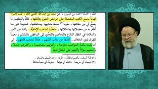 کمک رساندن حضرت مهدی ع به یکی از شیعیان در فن مناظره برای پیروزی در برابر مخالفین