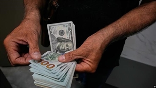 نماینده مجلس: همتی الان باید بابت وضعیت جهش دلار جواب دهد