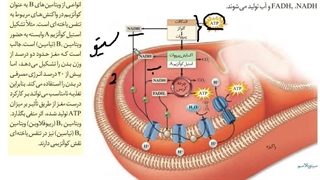 معجزه تست زنی استاد غیاثی ترکیبی و رمزیست  #آموزش  زیست #استادغیاثی #بصورت کاملا مفهومی.. #روش های   حضوری و آنلاین  #رمزیست