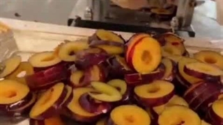 میوه هات از فصلش گذشته؟ اینجوری خشکشون کن 09138900047