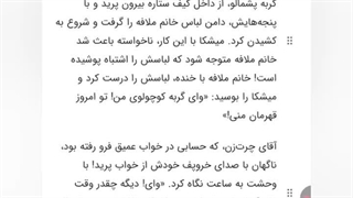 خانواده خوابالوها ۳ قسمت ششم : قهرمانی غیر منتظره