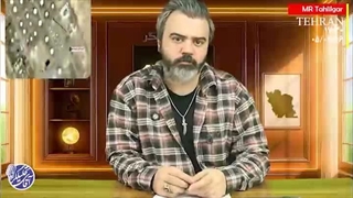 آقای تحلیلگر: تا خلیج خوک ها