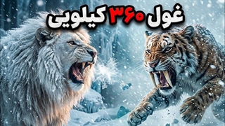 شیری که حتی ببر دندان خنجری از آن فرار می کرد.
