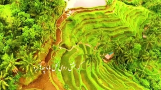 تصنیف حکایت بلبل، خواننده و آهنگساز، رضاکاکولوند، شعر از حافظ شیرازی، در مایه ی سه گاه