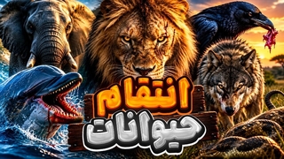 حیواناتی که انتقام می گیرند؛ آنها فراموش نمی کنند!