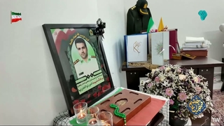 شهید امیر ذوالقدریها
