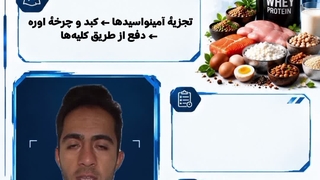 پروتئین بیشتر، عضله بیشتر؟!