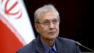 علی ربیعی: ایران همچون ققنوس از خاکستر خود برخواهد خواست