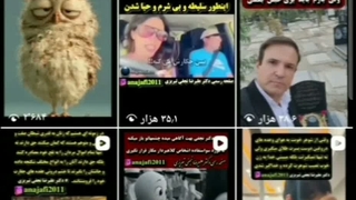 گزارش آمار داشبورد اینستاگرام از پیج anajafi2011