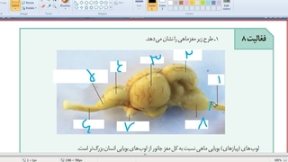 آموزش و حل تست 09149285452  زیست استاد غیاثی  @zisttestghiassi