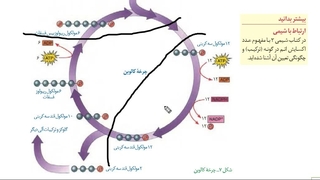 آموزش و حل تست 09149285452  زیست استاد غیاثی  @zisttestghiassi