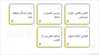 راهنمای کامل بهترین زمان کاشت صنوبر