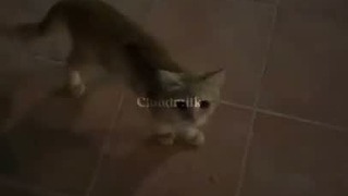 ☆