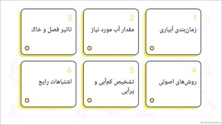 آبیاری نهال گردو: راهنمای کامل زمان، تعداد دفعات و مقدار آب