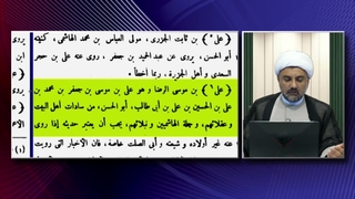 زیارت و حاجت گرفتن عالم سنی از قبر مطهر آقا علی بن موسی الرضا علیه السلام