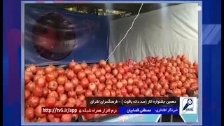 دهمین جشنواره انار (صد دانه یاقوت ) - فرهنگسرای اشراق